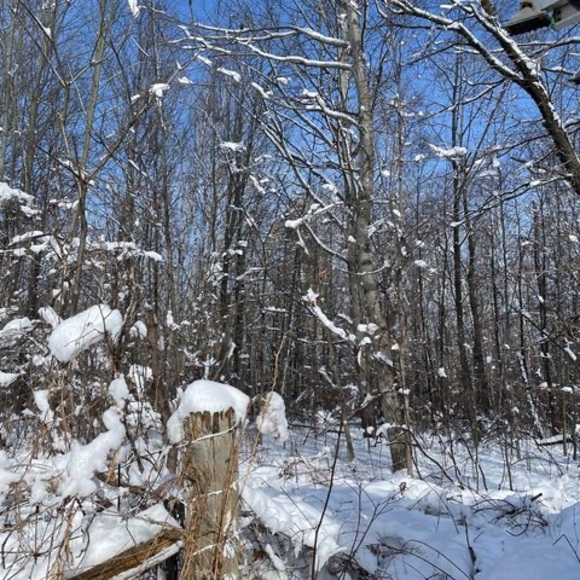 Meet your Posher, Sara - Picture 1 of 1